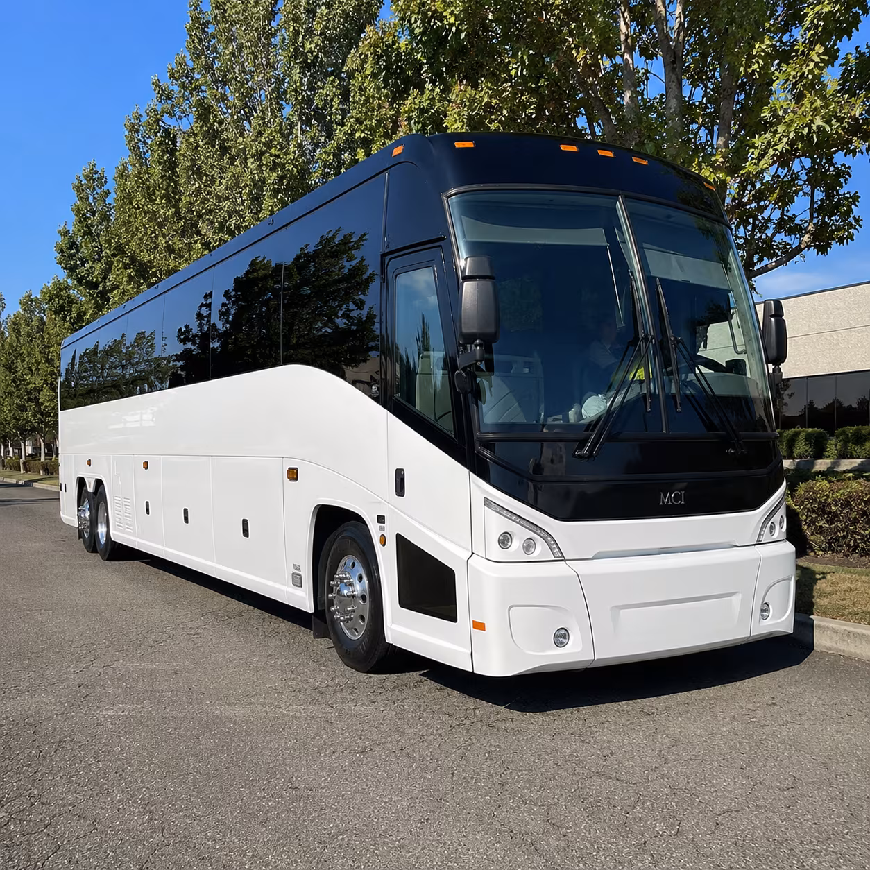 mansfield 50 passenger charter bus